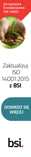 bsi group iso 14001 120x600