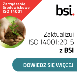 bsi group iso 14001 250x250